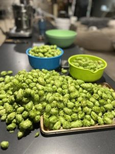 specialty malts for brewing