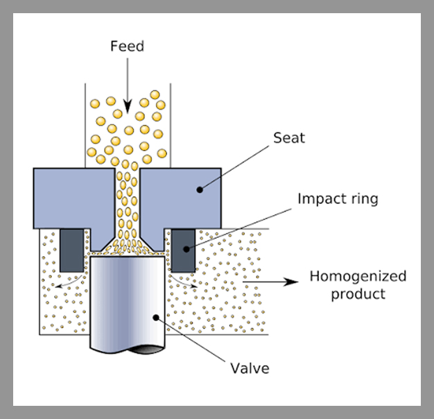 High-pressure homogenization schematic showing shear, impact, and cavitation forces